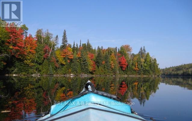 4 - 903 Mcrae Hay Lake Road, South Algonquin, Ontario  K0J 2M0 - Photo 12 - X12337538