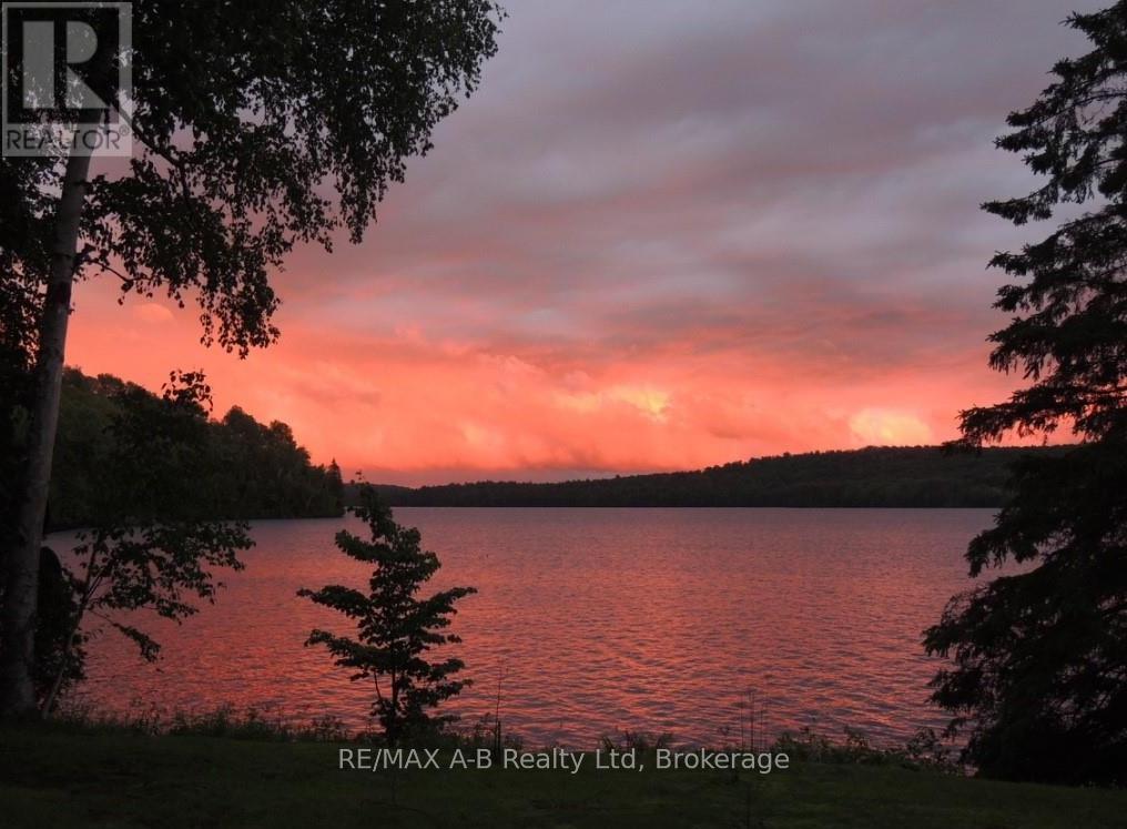 4 - 903 Mcrae Hay Lake Road, South Algonquin, Ontario  K0J 2M0 - Photo 15 - X12337538