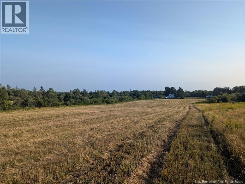 1686 Route 107, Williamsburg, New Brunswick  E6B 1W4 - Photo 10 - NB124610