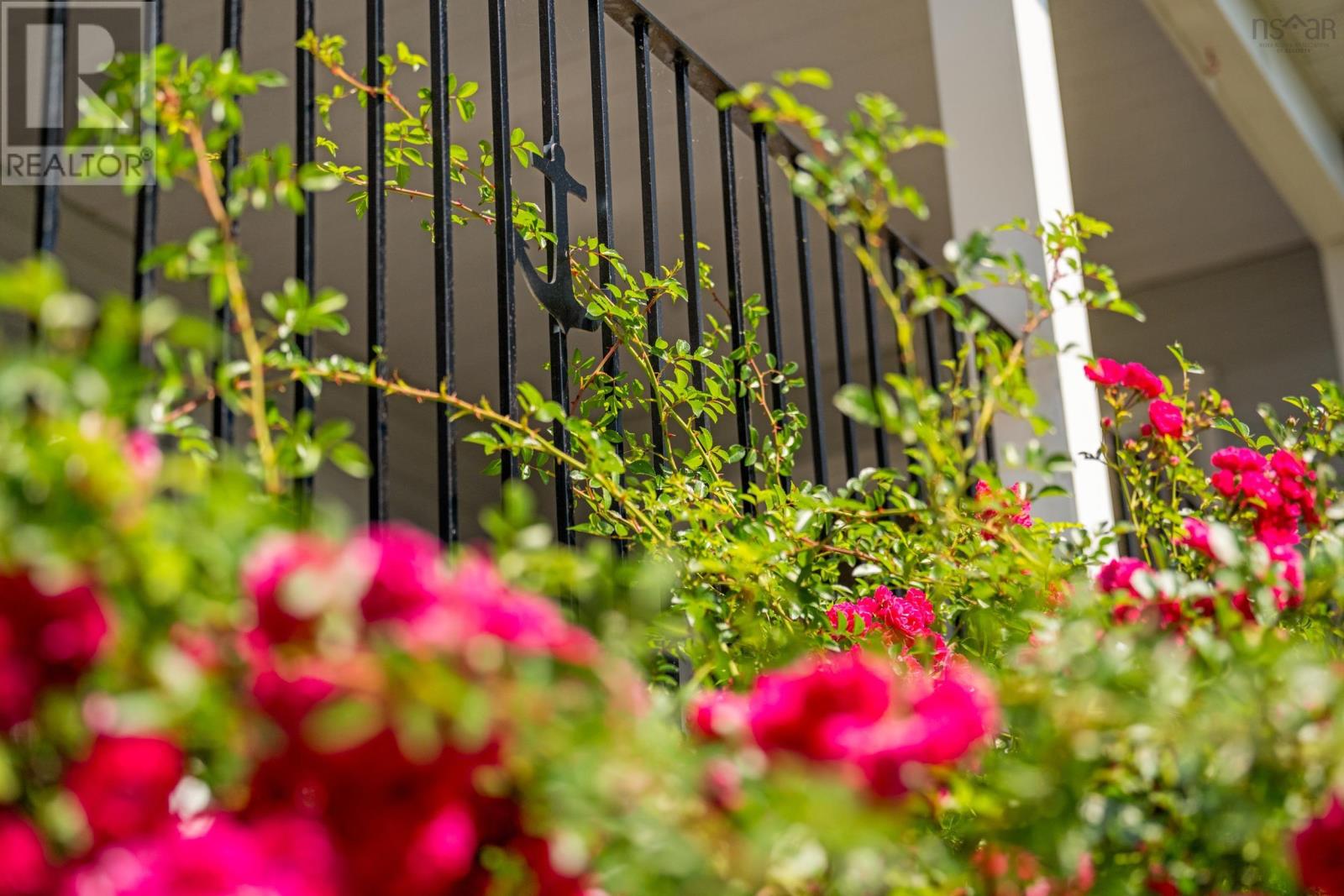 7239 Highway 329, East River Point, Nova Scotia  B0J 1T0 - Photo 36 - 202519160