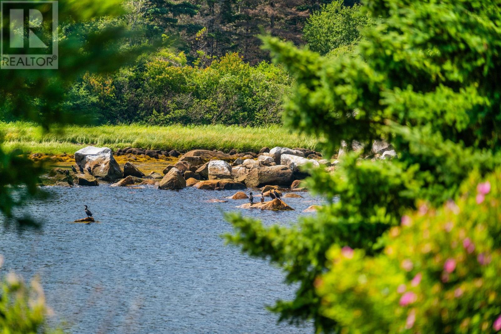 7239 Highway 329, East River Point, Nova Scotia  B0J 1T0 - Photo 38 - 202519160