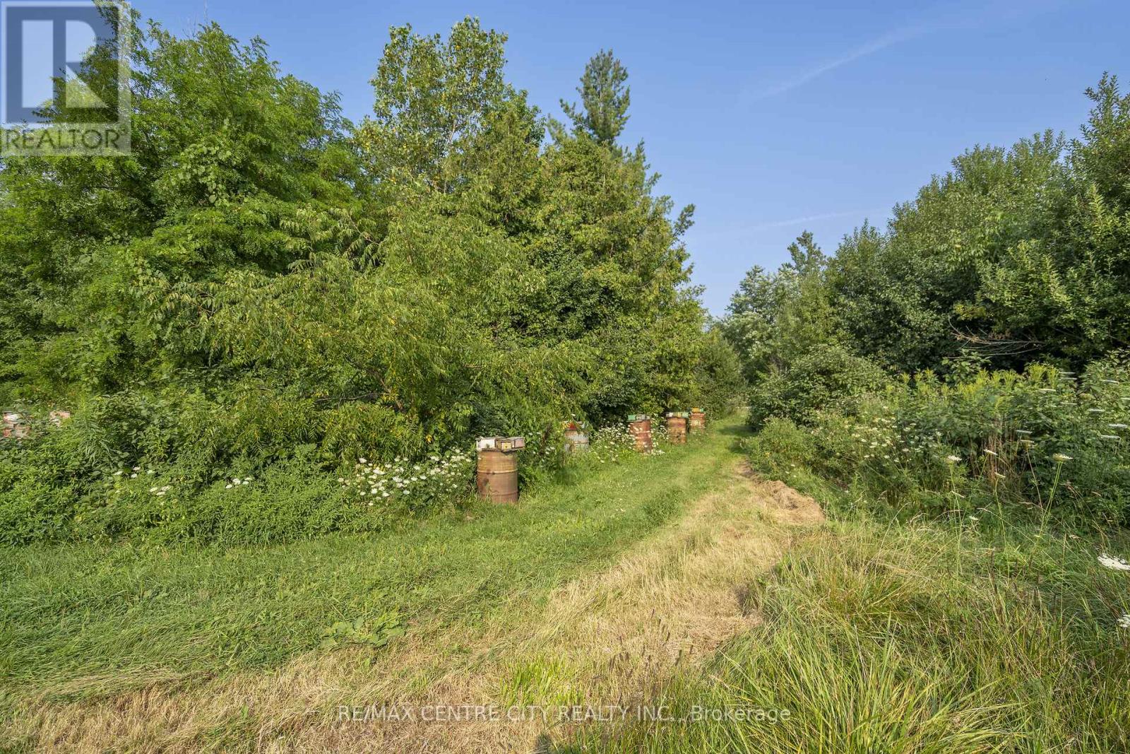 39006 Zurich-Hensall Road, Bluewater, Ontario  N0M 1X0 - Photo 16 - X12337728