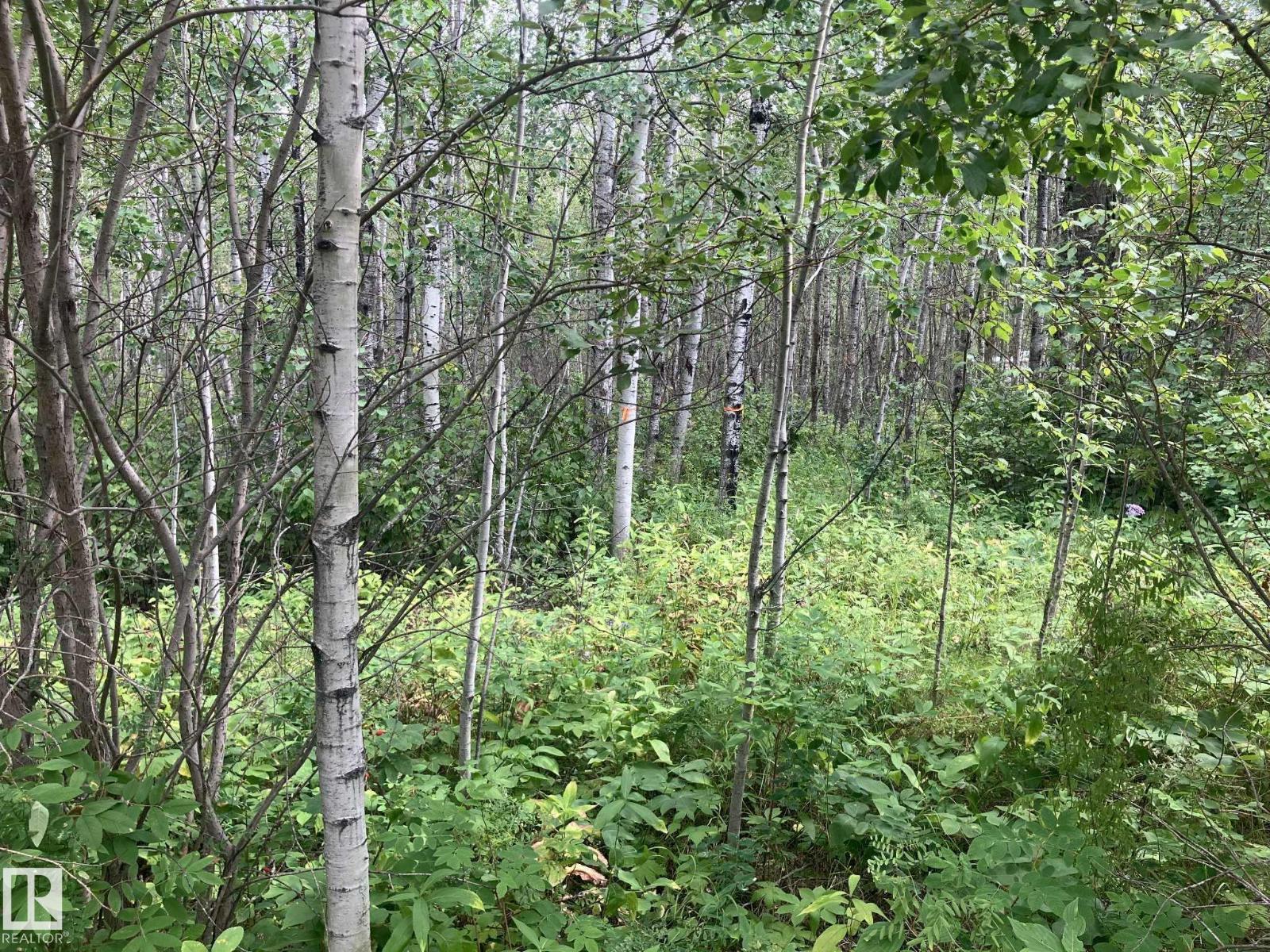 #526 11131 Twp Rd 600 Cv, Rural St. Paul County, Alberta  T0A 0C0 - Photo 5 - E4452415