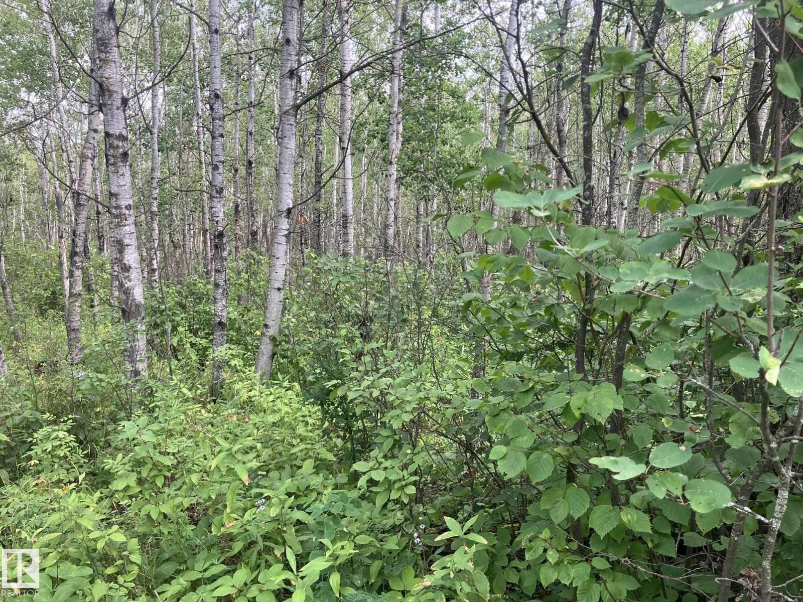 #526 11131 Twp Rd 600 Cv, Rural St. Paul County, Alberta  T0A 0C0 - Photo 6 - E4452415