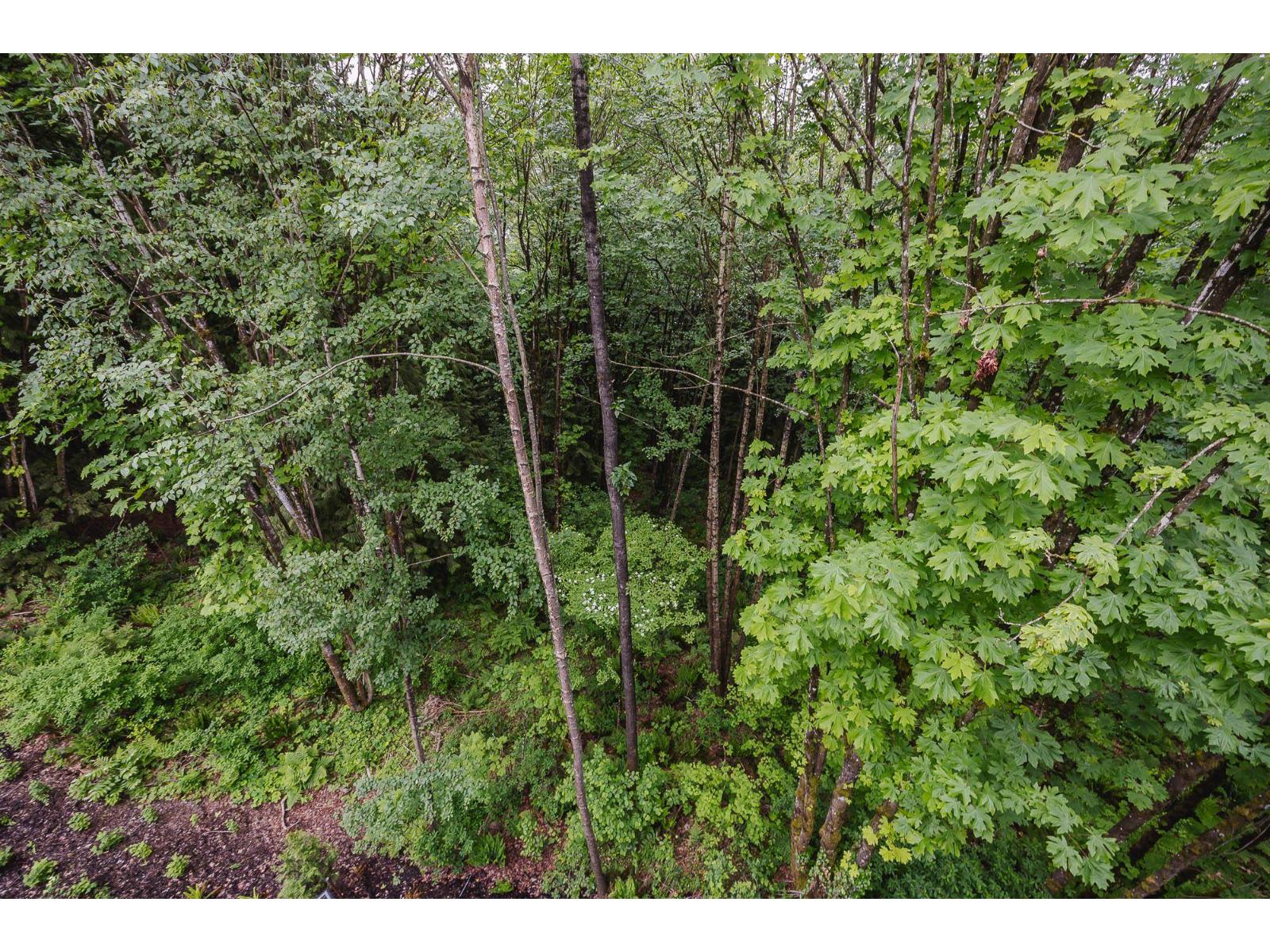 406 32690 14th Avenue, Mission, British Columbia  V2V 0K5 - Photo 32 - R3035543