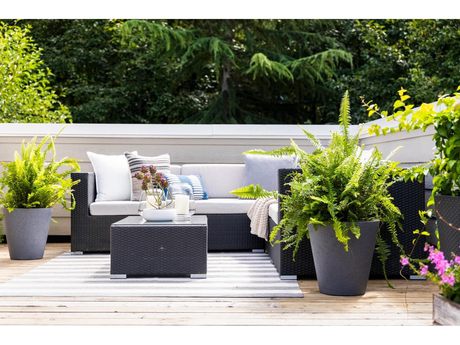 75 15588 32 Avenue, Surrey, British Columbia V3Z 0G3 - Photo 33 - R3035904