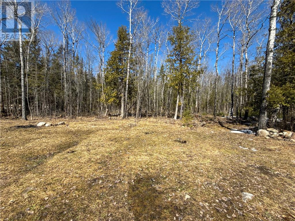 1398 Range A Sideroad, Manitoulin Island, Ontario  P0P 1J0 - Photo 27 - 2121779