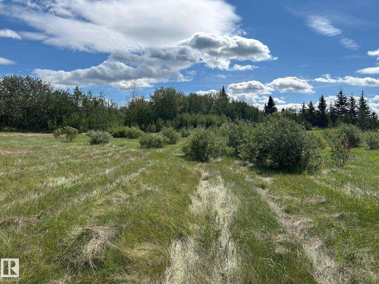 208 Oak St, Rural Sturgeon County, Alberta  T0A 1N6 - Photo 10 - E4452460