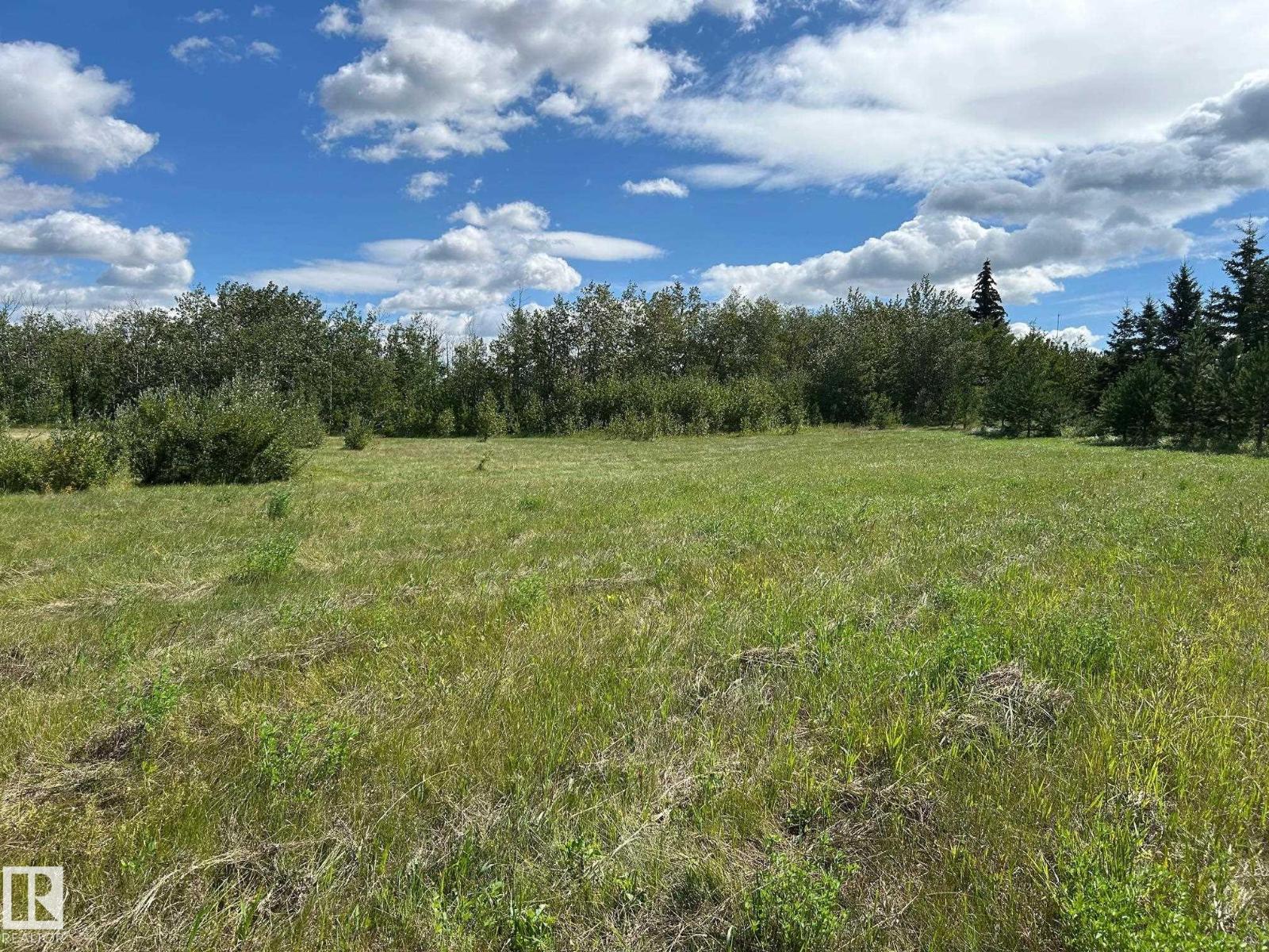 208 Oak St, Rural Sturgeon County, Alberta  T0A 1N6 - Photo 11 - E4452460