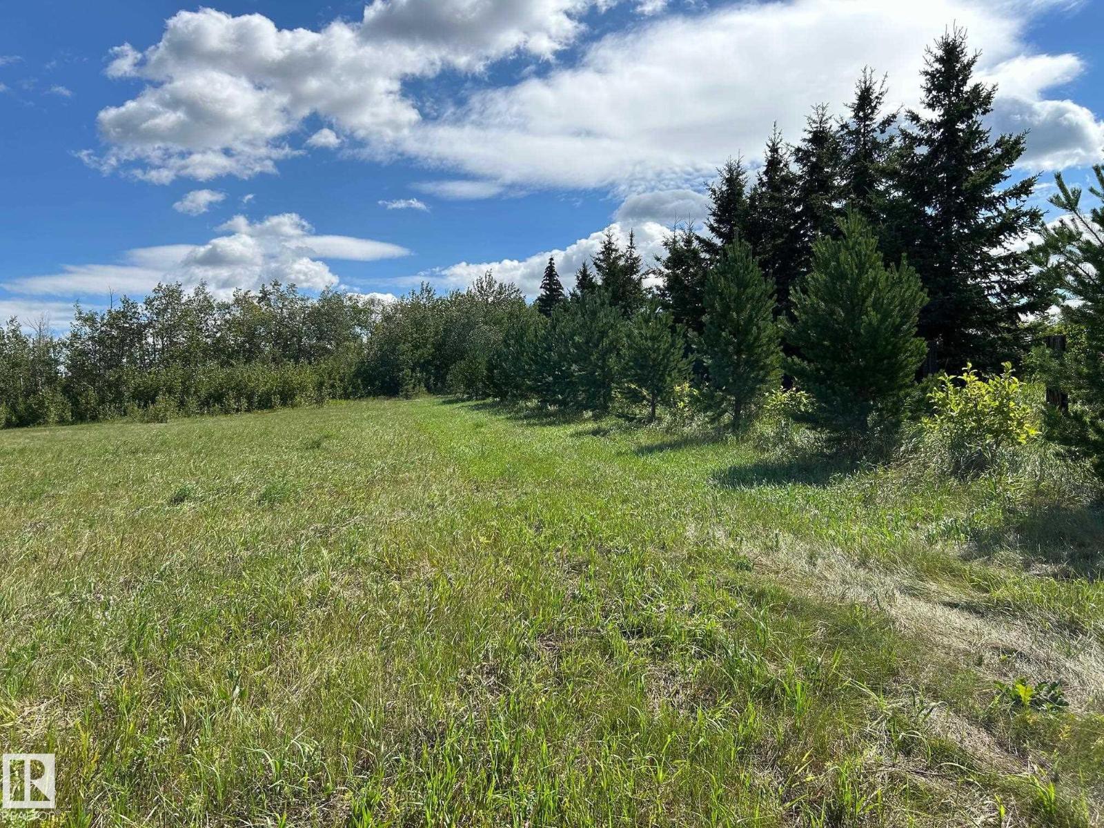 208 Oak St, Rural Sturgeon County, Alberta  T0A 1N6 - Photo 12 - E4452460