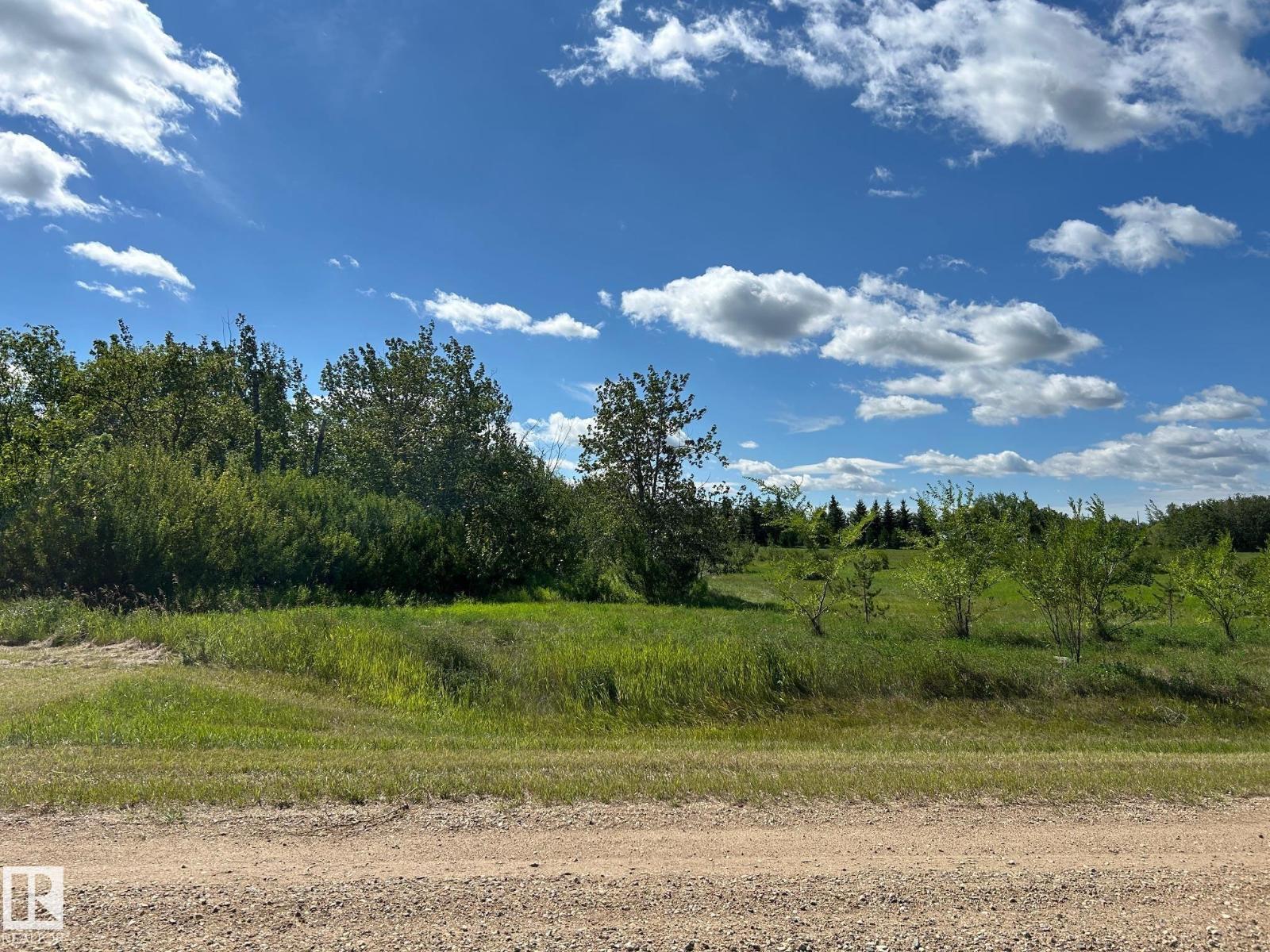 208 Oak St, Rural Sturgeon County, Alberta  T0A 1N6 - Photo 13 - E4452460