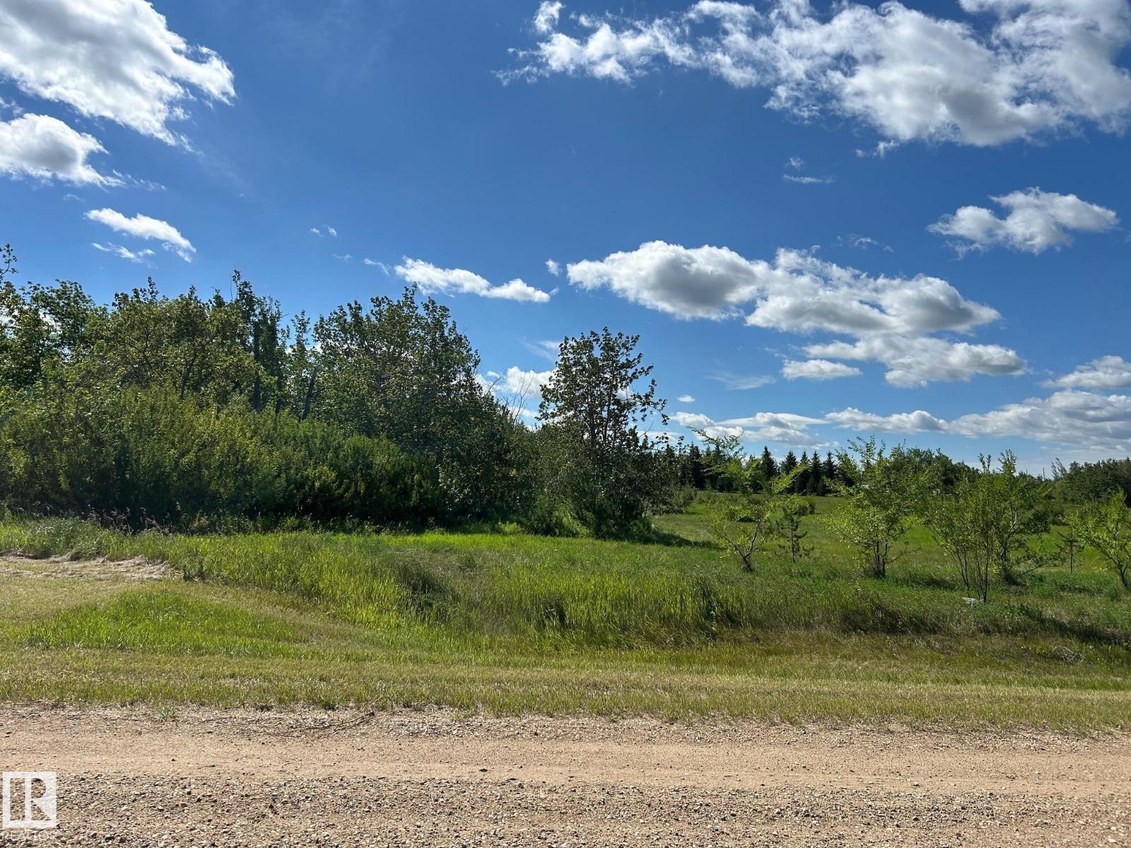 208 Oak St, Rural Sturgeon County, Alberta  T0A 1N6 - Photo 14 - E4452460