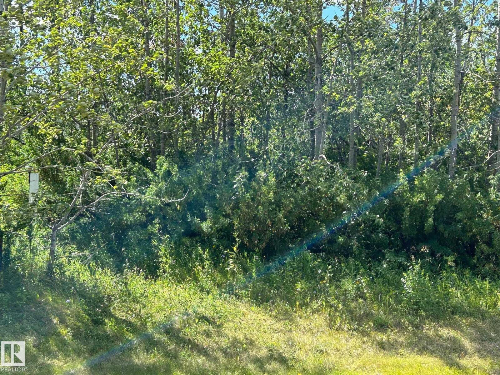 208 Oak St, Rural Sturgeon County, Alberta  T0A 1N6 - Photo 15 - E4452460