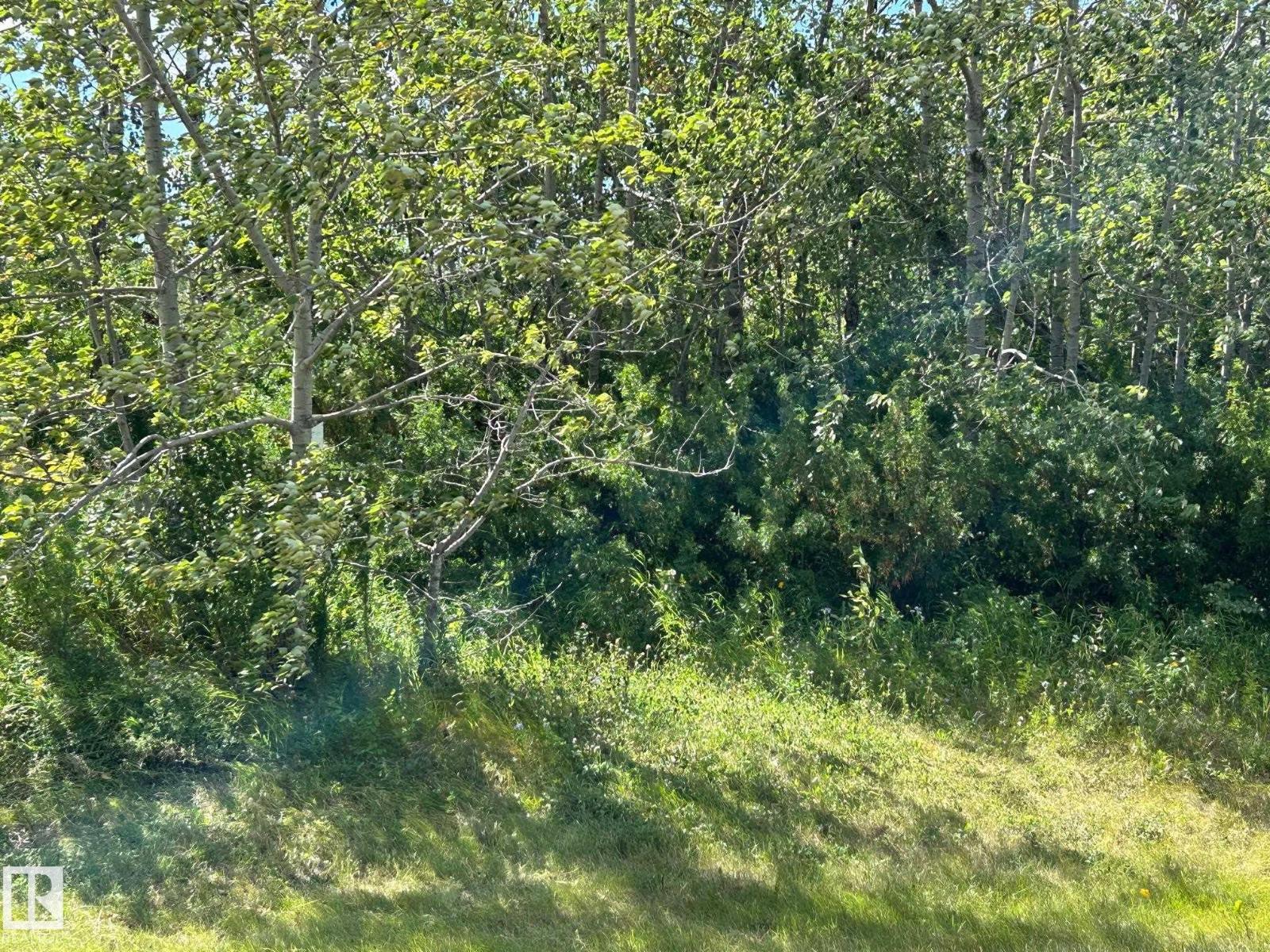 208 Oak St, Rural Sturgeon County, Alberta  T0A 1N6 - Photo 3 - E4452460