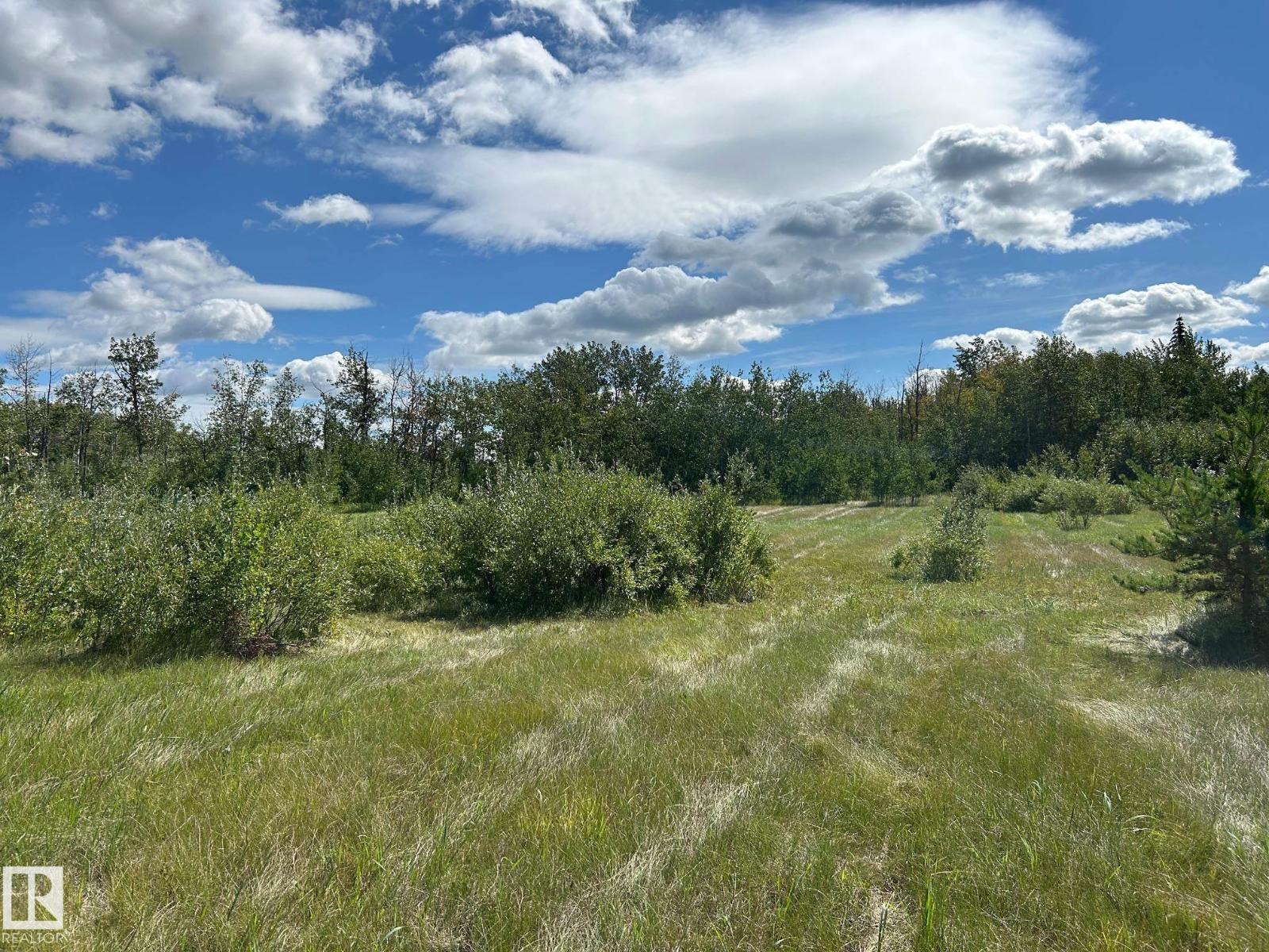 208 Oak St, Rural Sturgeon County, Alberta  T0A 1N6 - Photo 8 - E4452460