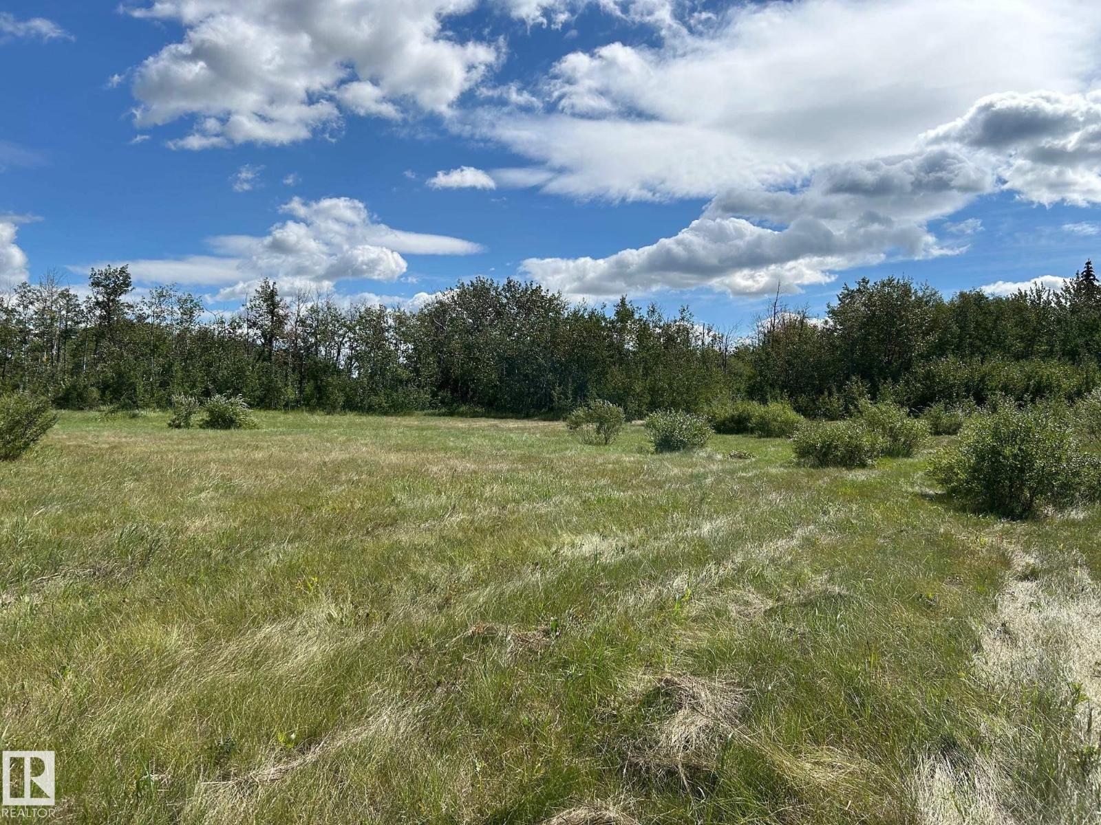 208 Oak St, Rural Sturgeon County, Alberta  T0A 1N6 - Photo 9 - E4452460