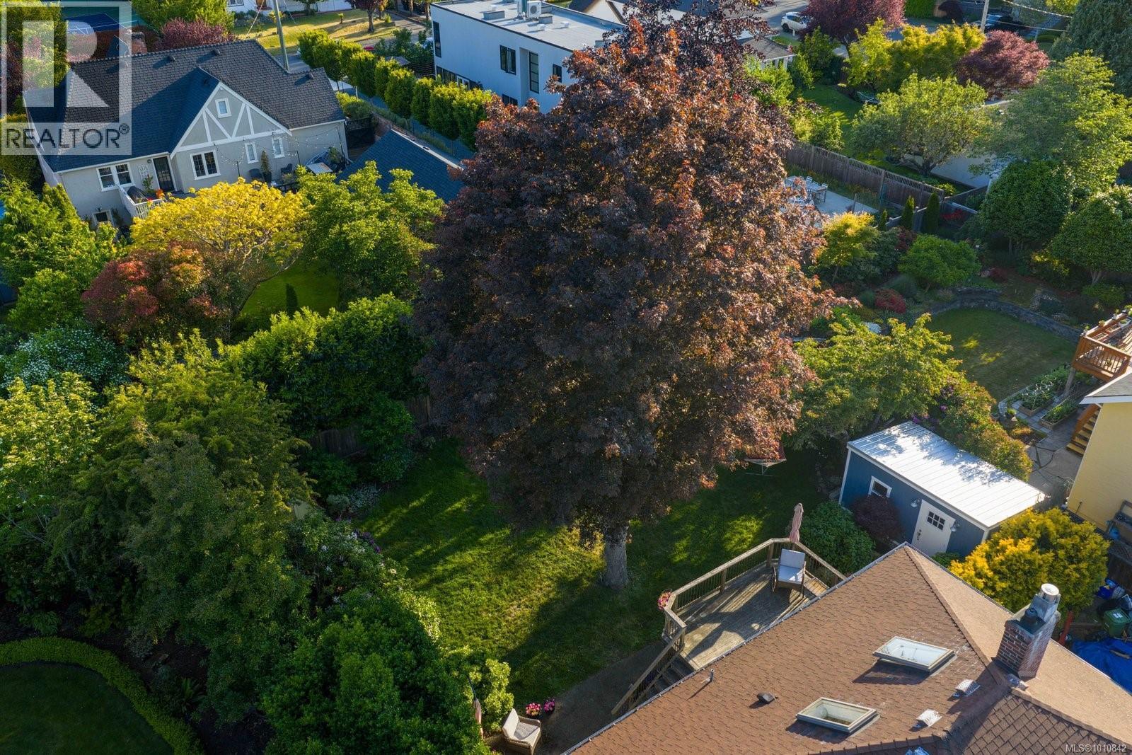 2535 Dalhousie St, Oak Bay, British Columbia  V8R 2H8 - Photo 25 - 1010842