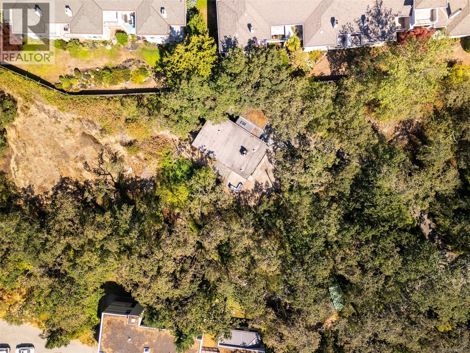 Property at 4050 Nelthorpe St image 3