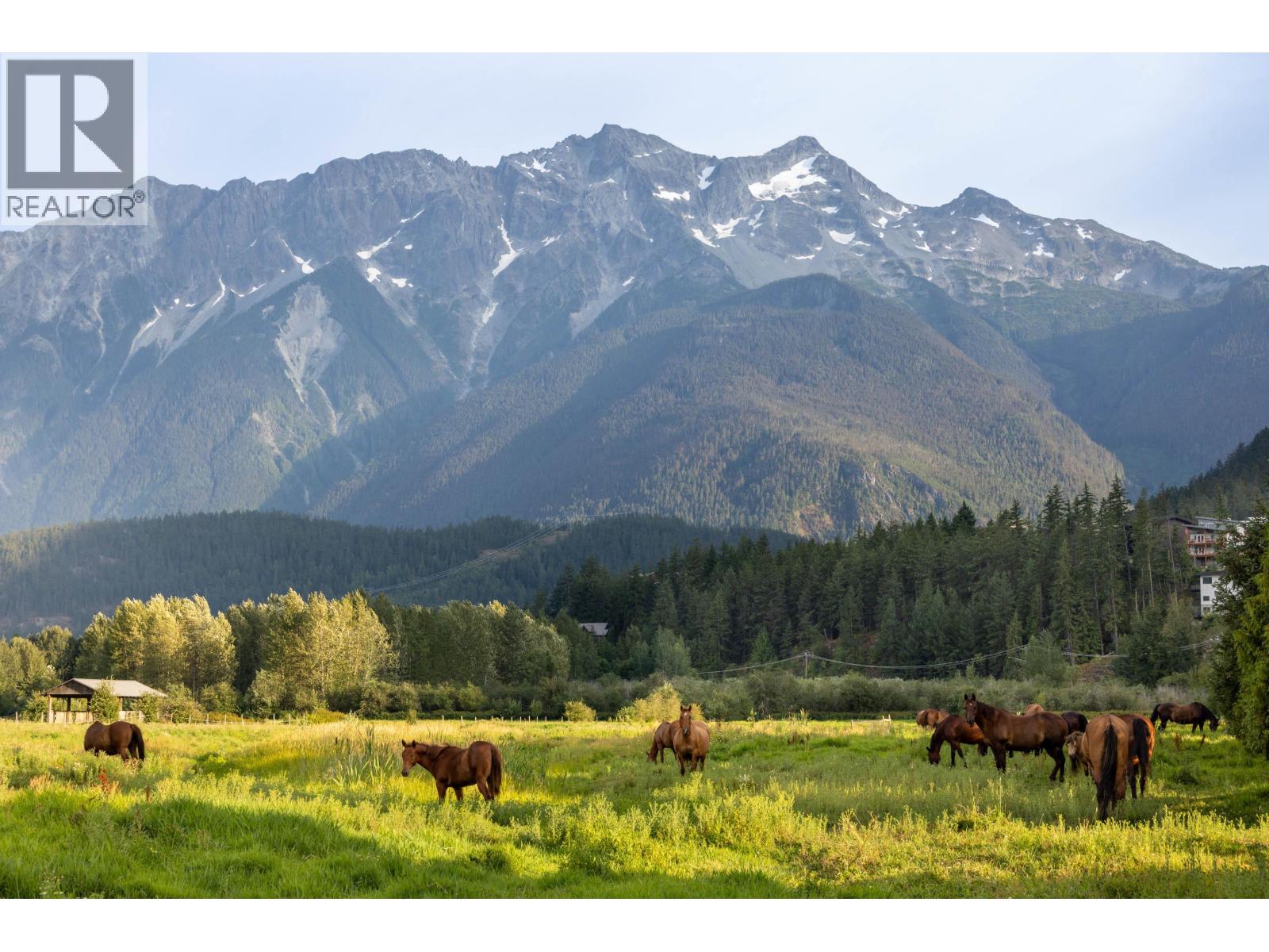 1360 Collins Road, Pemberton, British Columbia  V0N 2L0 - Photo 40 - R3036008
