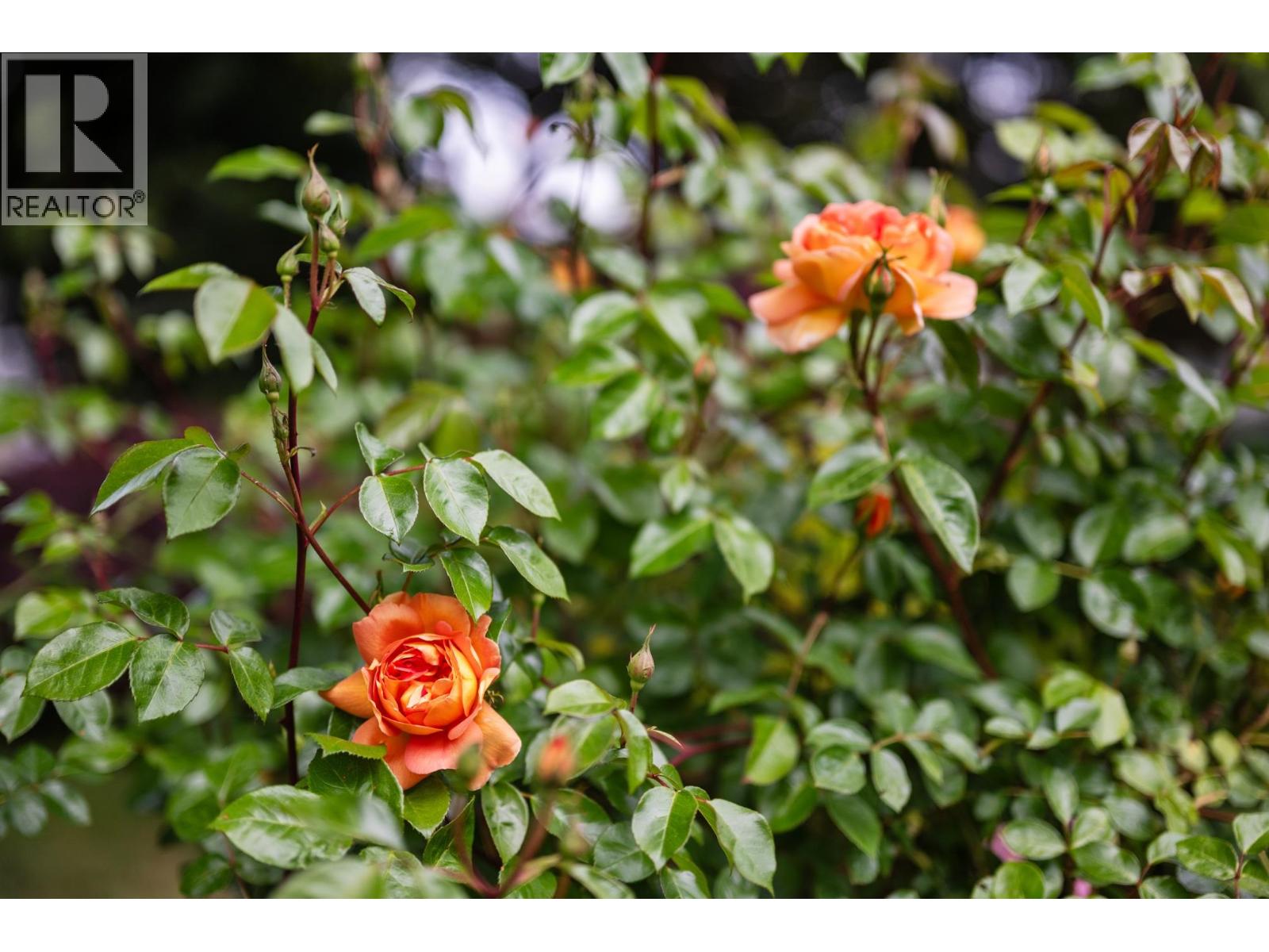 1509 Sixth Avenue, New Westminster, British Columbia  V3M 2C5 - Photo 26 - R3036085