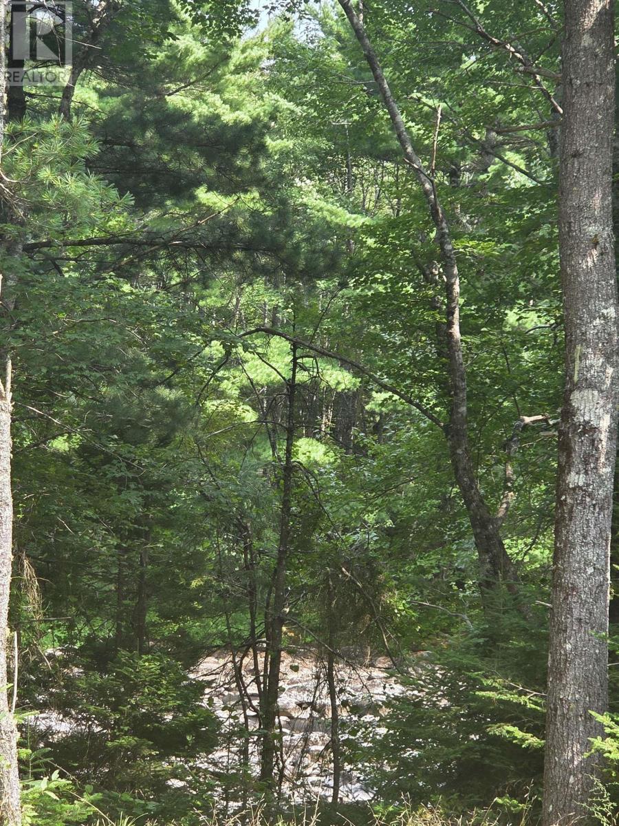 Highway 103, Sable River, Nova Scotia  B0T 1W0 - Photo 18 - 202520267