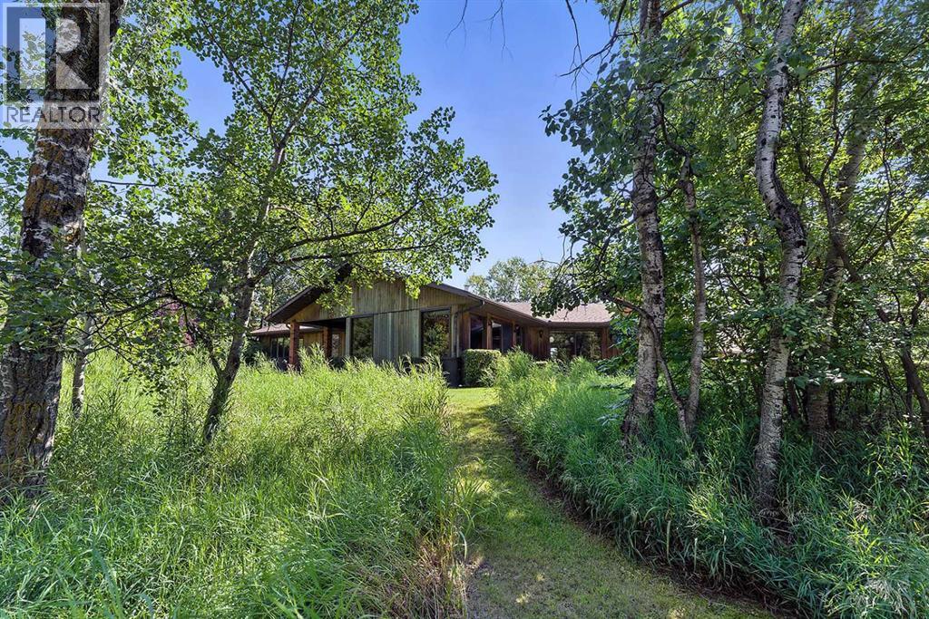 19459 Township Rd 392 Stettler Ab Township, Rural Stettler No. 6, Alberta  T0C 2L2 - Photo 10 - A2244402