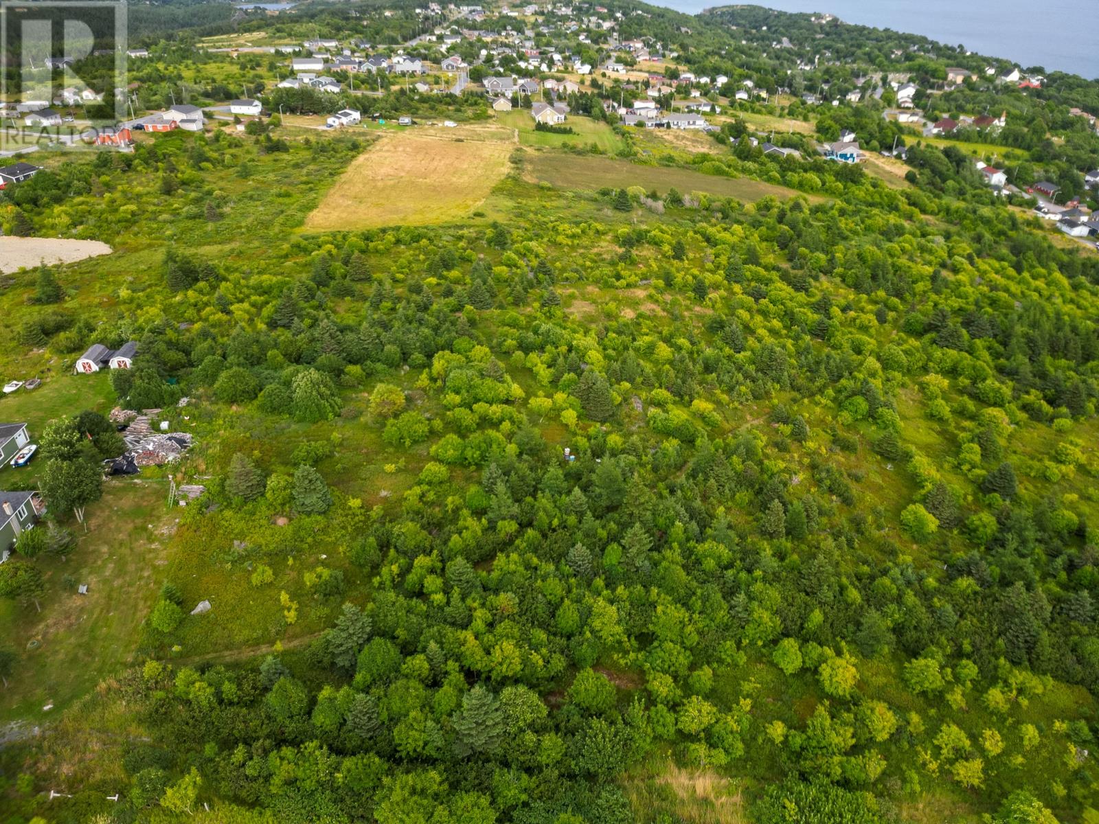 45b English Hill, Carbonear, Newfoundland & Labrador  A1Y 1A8 - Photo 8 - 1288837