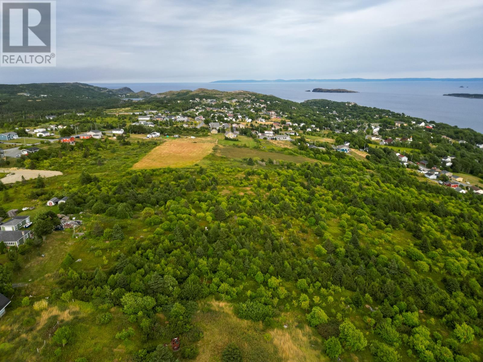 45b English Hill, Carbonear, Newfoundland & Labrador  A1Y 1A8 - Photo 9 - 1288837