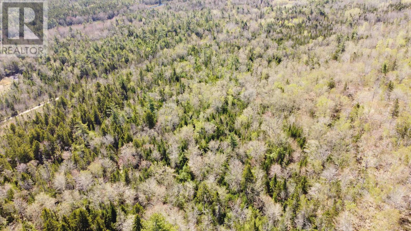 Lot 3 Highway 10, Albany, Nova Scotia  B0S 1P0 - Photo 2 - 202512140