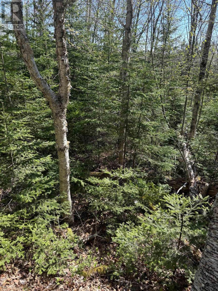 Lot 3 Highway 10, Albany, Nova Scotia  B0S 1P0 - Photo 3 - 202512140