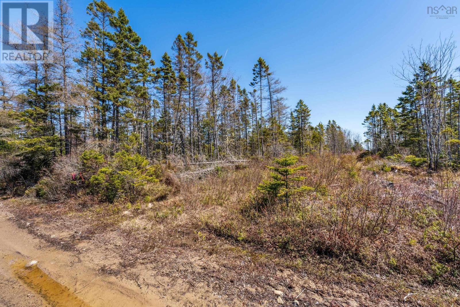 Lot Felix Road, Mayflower, Nova Scotia  B0W 2Y0 - Photo 3 - 202509585