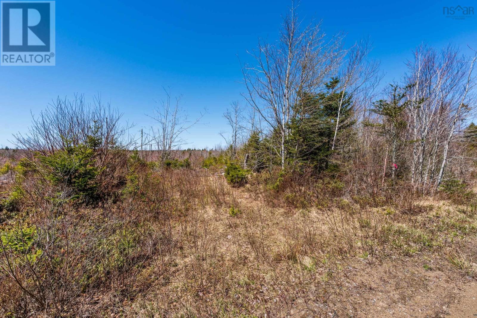 Lot Felix Road, Mayflower, Nova Scotia  B0W 2Y0 - Photo 5 - 202509585