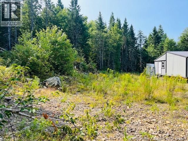 443 Brawley Road, Damascus, New Brunswick  E5N 2N8 - Photo 39 - NB124469