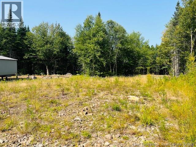 443 Brawley Road, Damascus, New Brunswick  E5N 2N8 - Photo 37 - NB124469