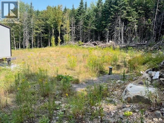 443 Brawley Road, Damascus, New Brunswick  E5N 2N8 - Photo 40 - NB124469