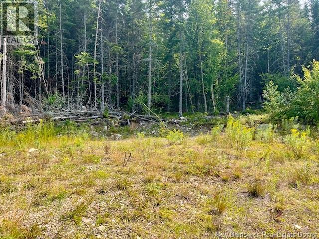 443 Brawley Road, Damascus, New Brunswick  E5N 2N8 - Photo 36 - NB124469