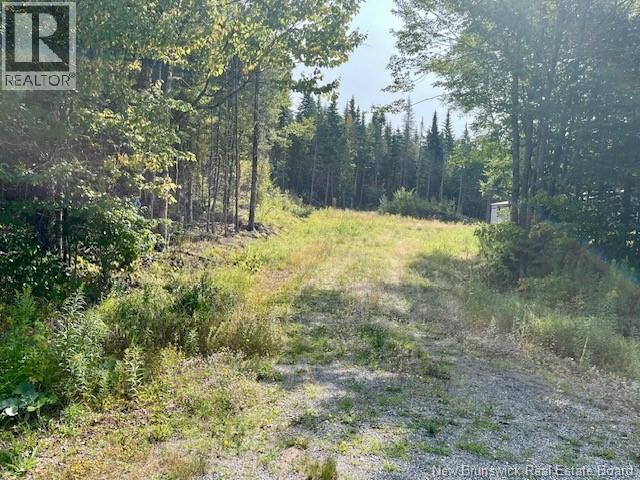 443 Brawley Road, Damascus, New Brunswick  E5N 2N8 - Photo 8 - NB124469