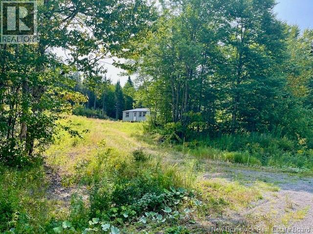 443 Brawley Road, Damascus, New Brunswick  E5N 2N8 - Photo 7 - NB124469