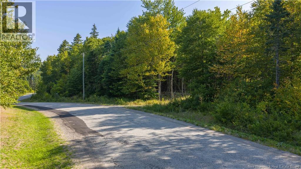 443 Brawley Road, Damascus, New Brunswick  E5N 2N8 - Photo 42 - NB124469