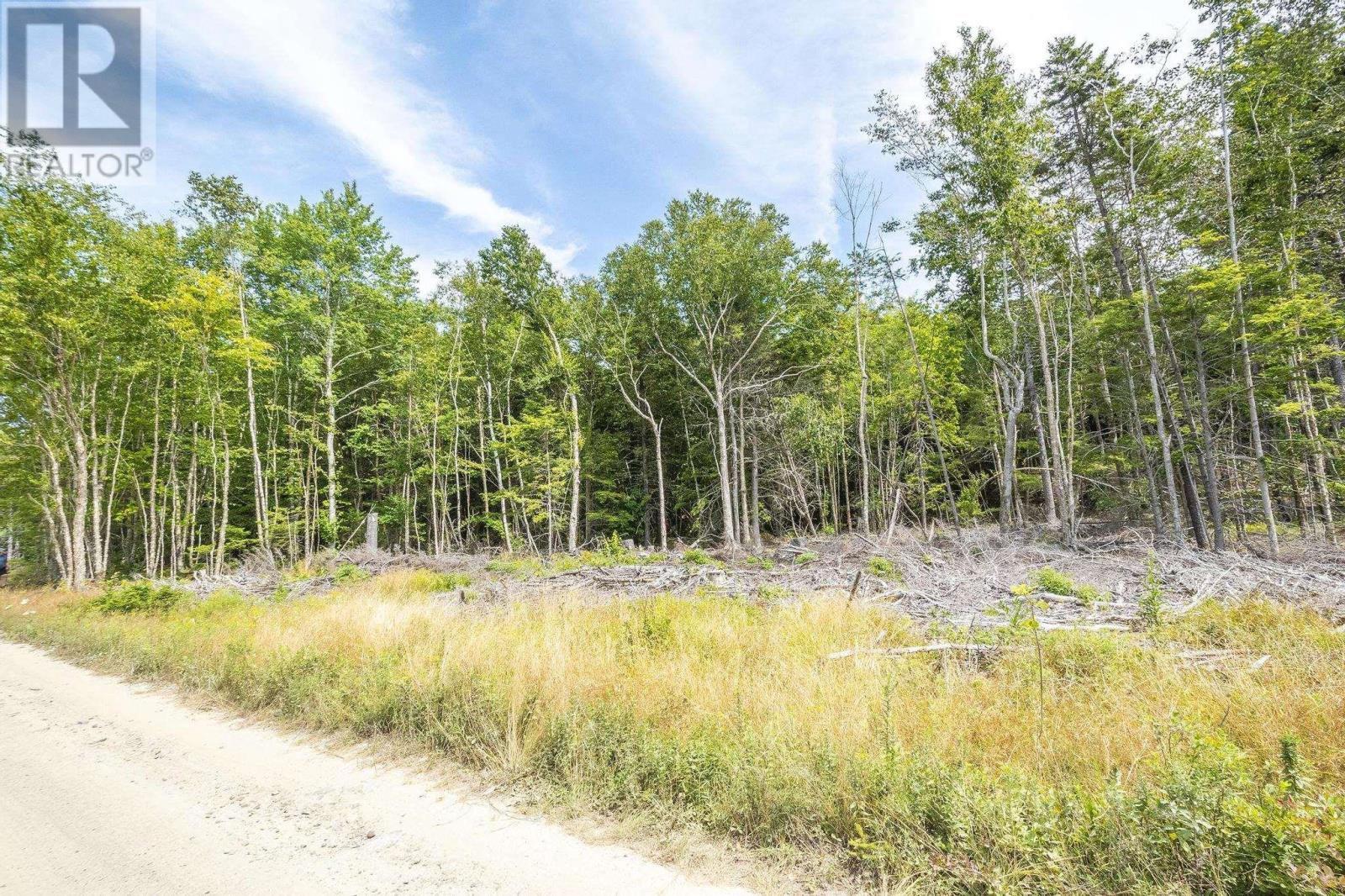 Lot 1 Bull Lake Road, Margo, Nova Scotia  B0W 1M0 - Photo 46 - 202520312