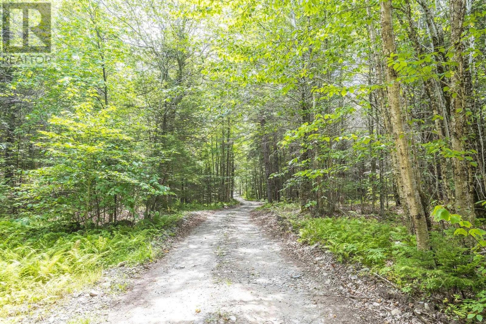 Lot 1 Bull Lake Road, Margo, Nova Scotia  B0W 1M0 - Photo 48 - 202520312