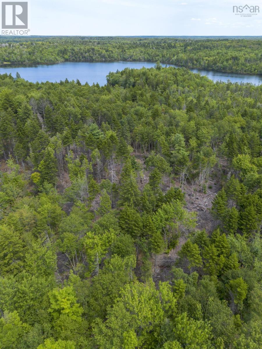 Lot 1 Bull Lake Road, Margo, Nova Scotia  B0W 1M0 - Photo 8 - 202520312