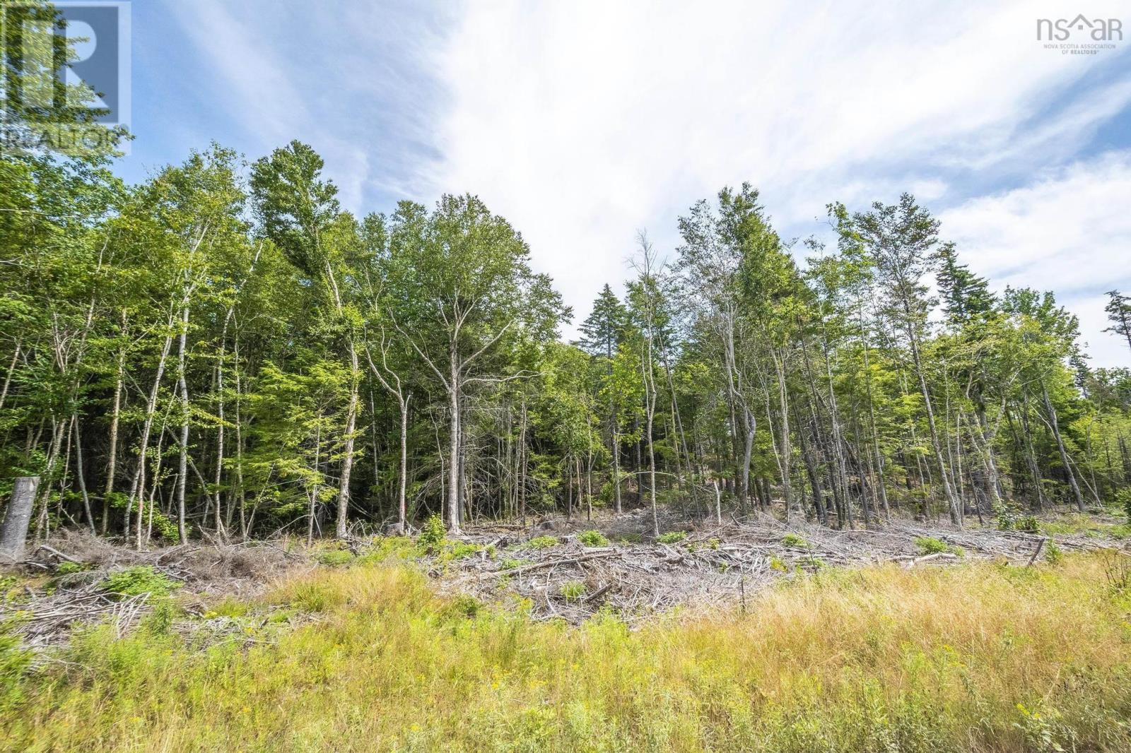Lot 1 Bull Lake Road, Margo, Nova Scotia  B0W 1M0 - Photo 45 - 202520312