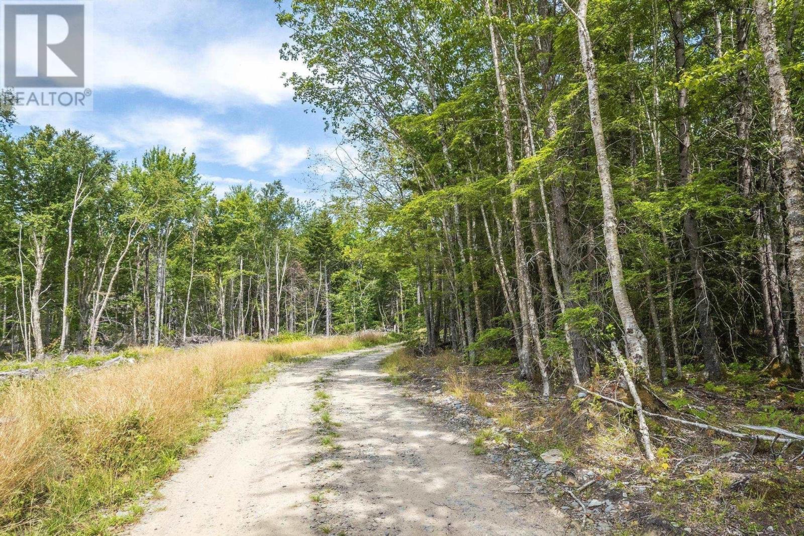 Lot 1 Bull Lake Road, Margo, Nova Scotia  B0W 1M0 - Photo 47 - 202520312