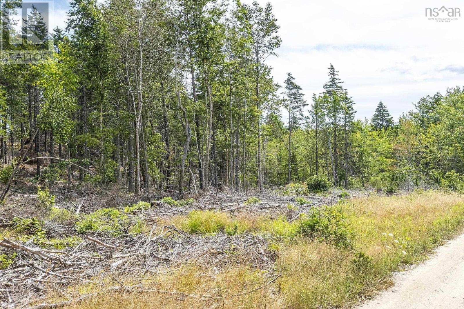 Lot 1 Bull Lake Road, Margo, Nova Scotia  B0W 1M0 - Photo 43 - 202520312