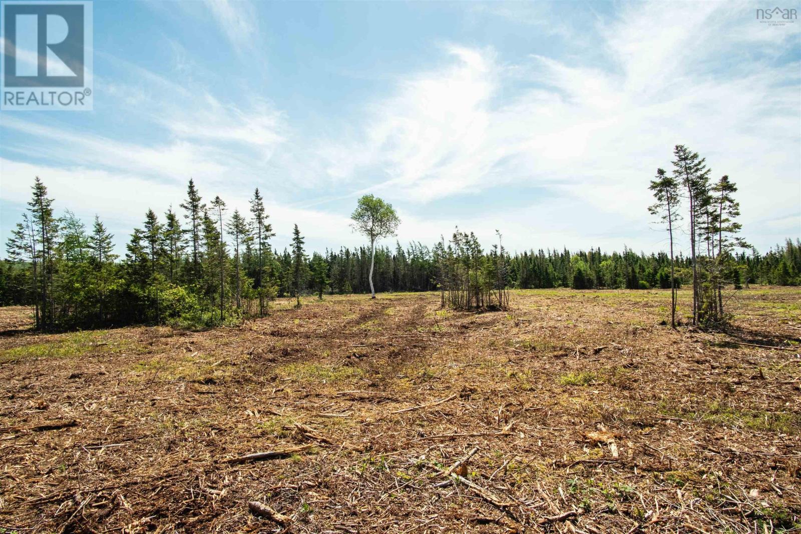 Lot 5 Alpine Ridge Road, Mabou, Nova Scotia  B0E 1X0 - Photo 10 - 202506917
