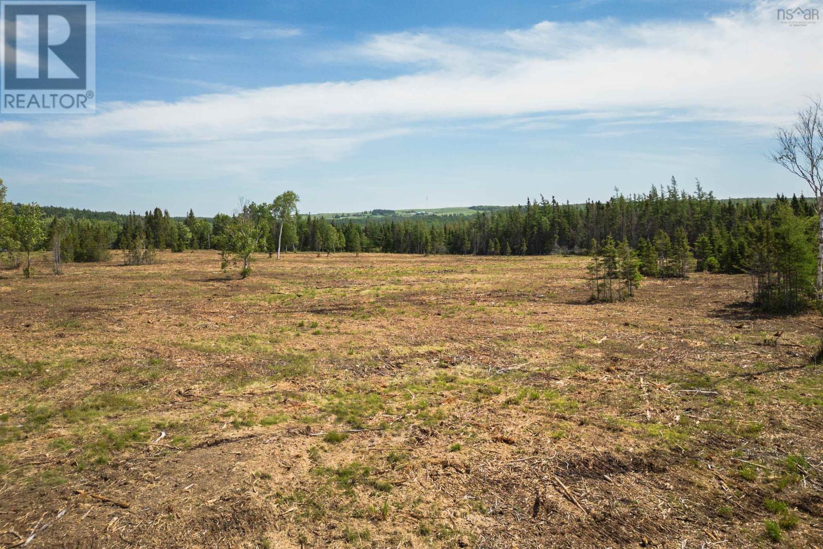 Lot 3 Alpine Ridge Road, Mabou, Nova Scotia  B0E 1X0 - Photo 11 - 202506915