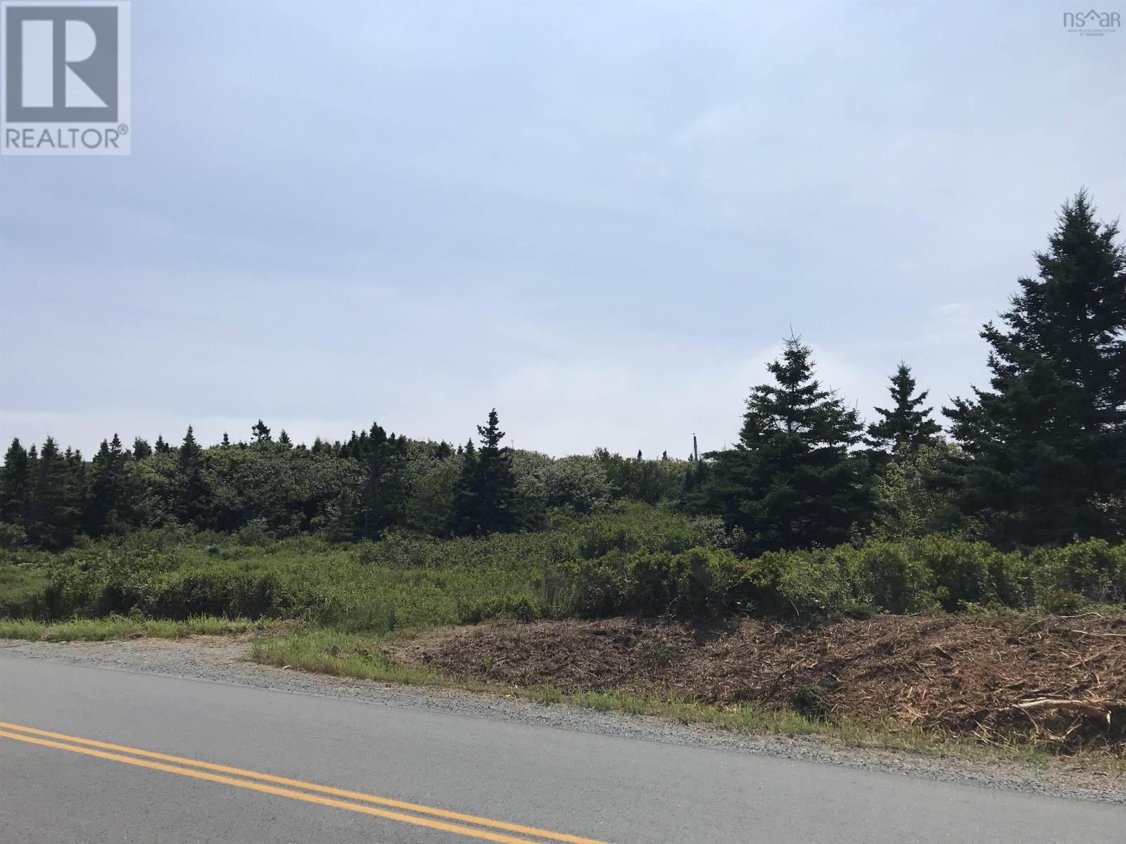 Lot (Pid 70044557) Shore Road, Western Head, Nova Scotia  B0T 1K0 - Photo 13 - 202418250