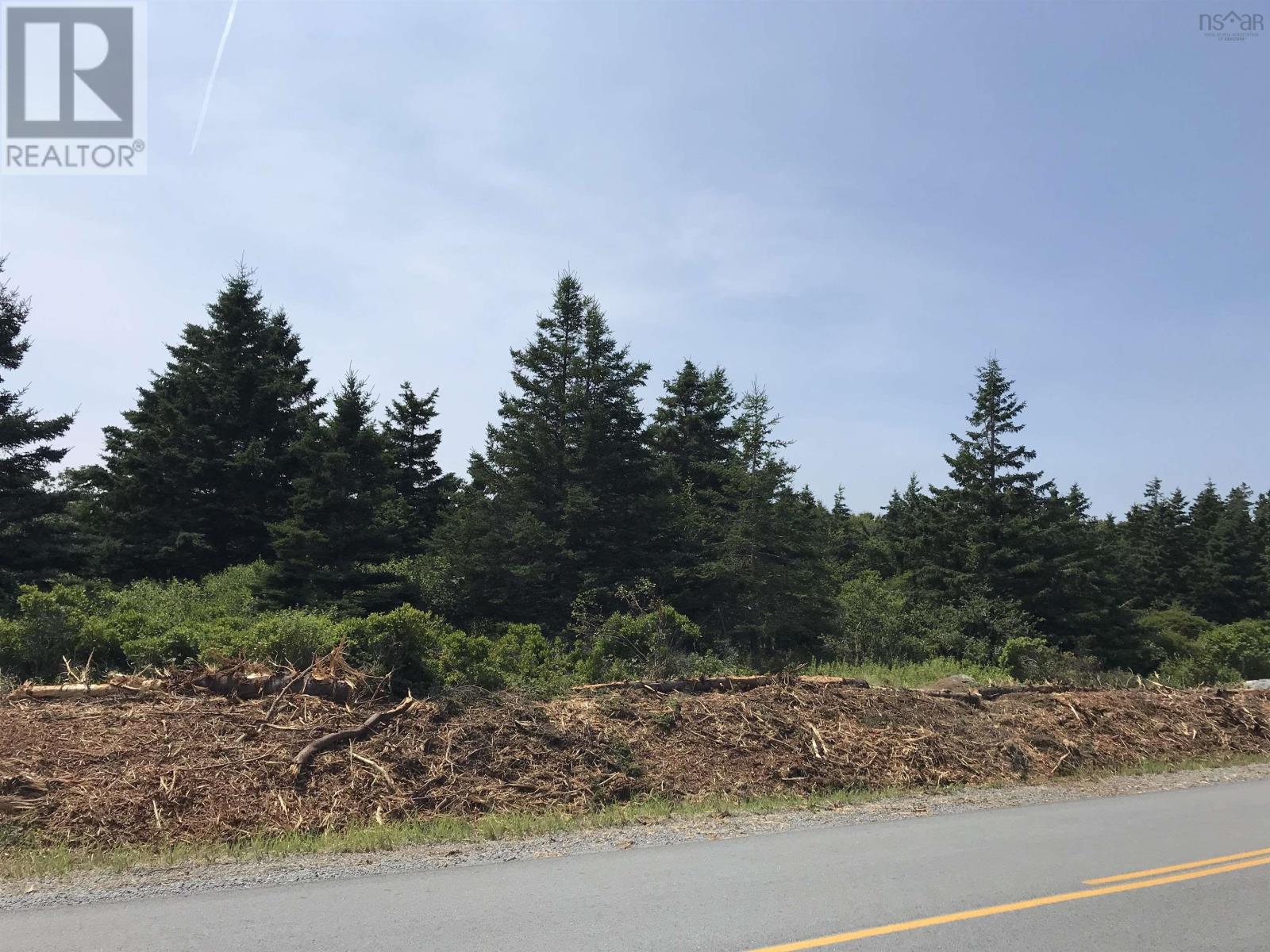 Lot (Pid 70044557) Shore Road, Western Head, Nova Scotia  B0T 1K0 - Photo 17 - 202418250