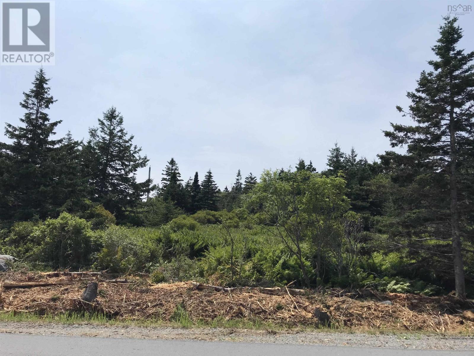 Lot (Pid 70044557) Shore Road, Western Head, Nova Scotia  B0T 1K0 - Photo 19 - 202418250